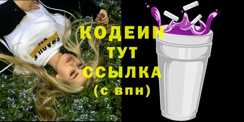 мега сайт  Щёкино  Кодеиновый сироп Lean Purple Drank  наркотики 