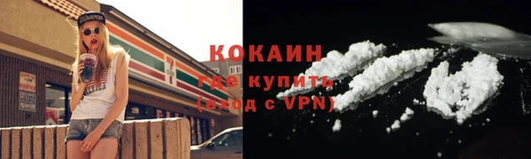молекула духа Майский