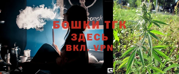 молекула духа Майский