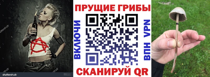 где продают   Щёкино  Псилоцибиновые грибы ЛСД 
