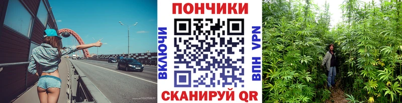 Бошки Шишки тримм купить наркотик Щёкино